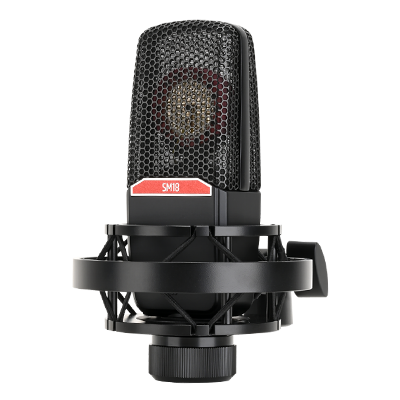 MICROPHONE