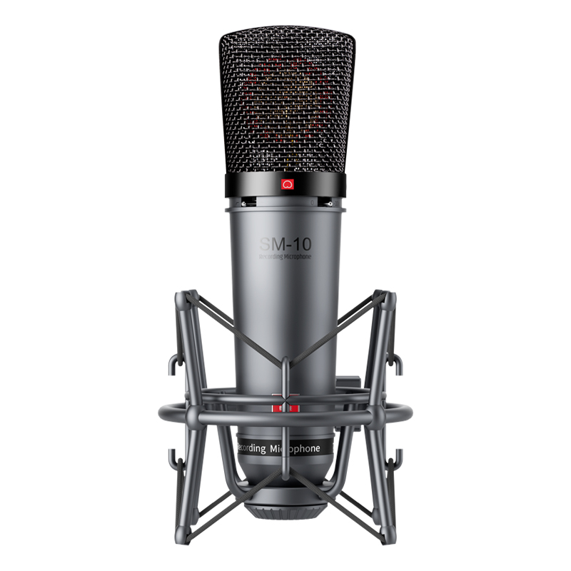 SM-10 Professional Recording Microphone