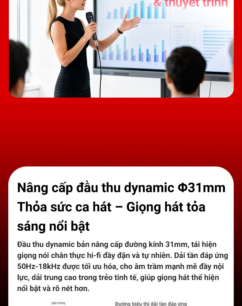 DM-2300（二代）专业动圈麦克风越南详情页-20260609_06.jpg